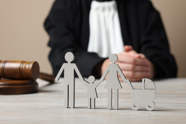 Child Custody Lawyer in Ahmedabad